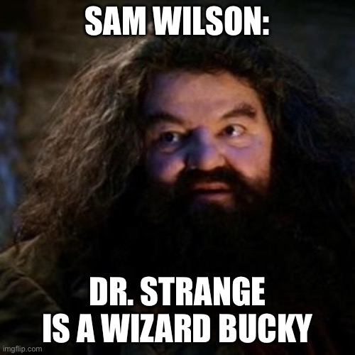 Marvel memes | SAM WILSON:; DR. STRANGE IS A WIZARD BUCKY | image tagged in you're a wizard harry | made w/ Imgflip meme maker