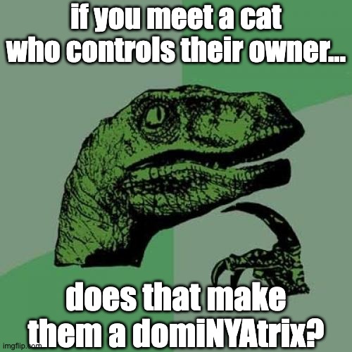 Yes meowstress~ UwU | if you meet a cat who controls their owner... does that make them a domiNYAtrix? | image tagged in memes,philosoraptor,dominatrix,pun,funny,philosophy | made w/ Imgflip meme maker