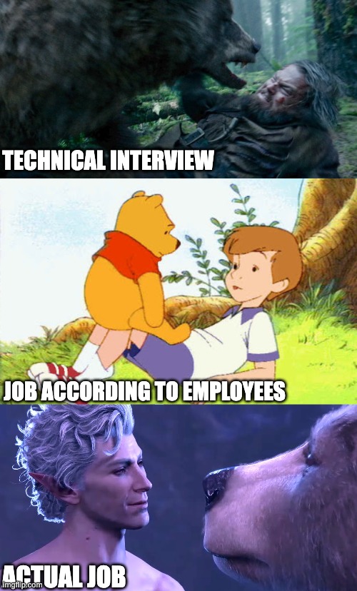 Interview | TECHNICAL INTERVIEW; JOB ACCORDING TO EMPLOYEES; ACTUAL JOB | image tagged in job,tech,job interview,interview | made w/ Imgflip meme maker