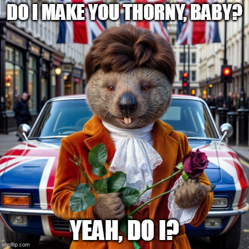 Do I make you thorny, baby? | DO I MAKE YOU THORNY, BABY? YEAH, DO I? | image tagged in wombat | made w/ Imgflip meme maker