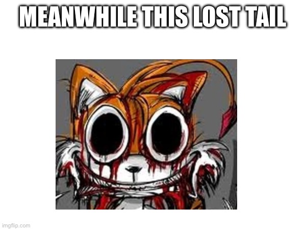 MEANWHILE THIS LOST TAIL | made w/ Imgflip meme maker