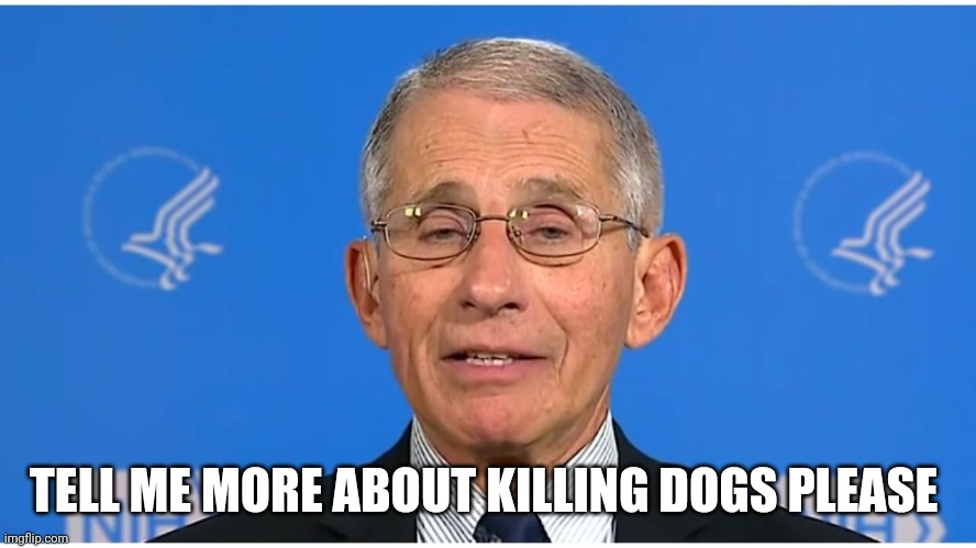 Dr Fauci | TELL ME MORE ABOUT KILLING DOGS PLEASE | image tagged in dr fauci | made w/ Imgflip meme maker