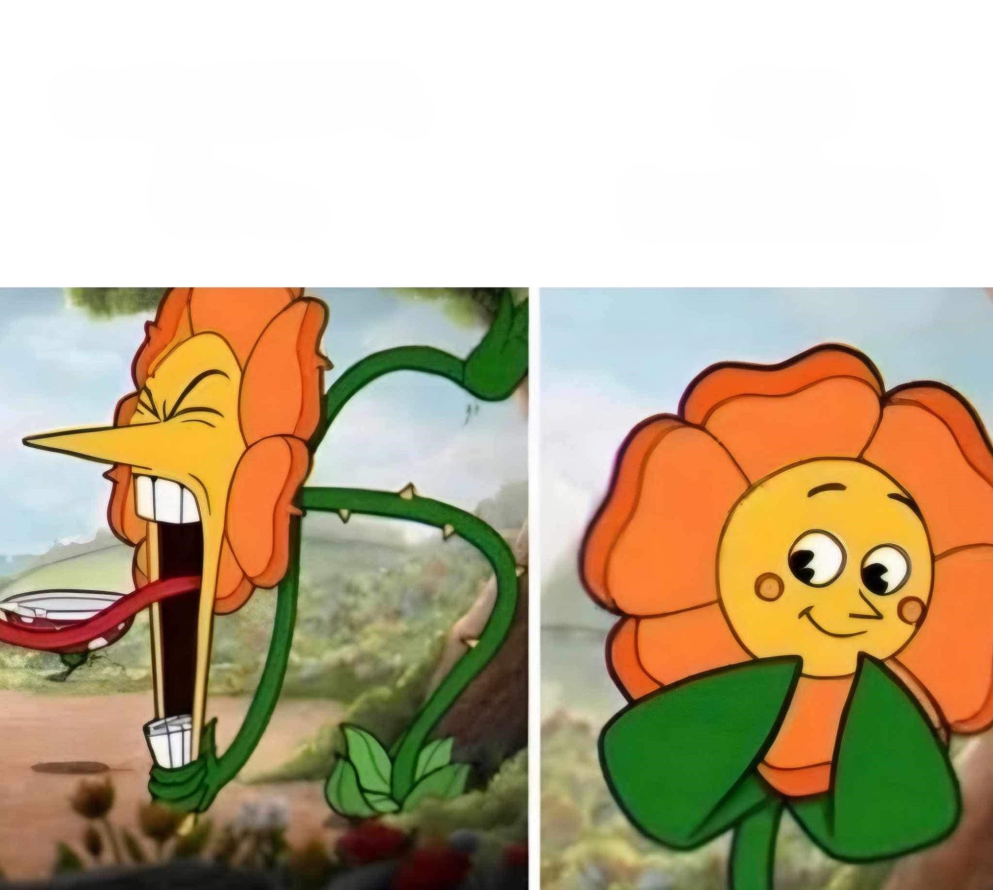 floricica dansatoare Blank Meme Template