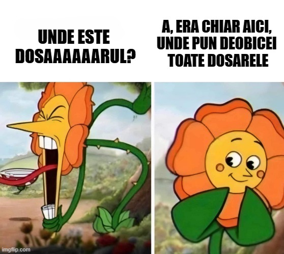 meme de birou | A, ERA CHIAR AICI, 
UNDE PUN DEOBICEI 
TOATE DOSARELE; UNDE ESTE 
DOSAAAAAARUL? | image tagged in floricica dansatoare,meme de birou,meme amuzante,dosarul bancar,dosar cu sina | made w/ Imgflip meme maker