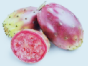 High Quality Prickly pear Blank Meme Template