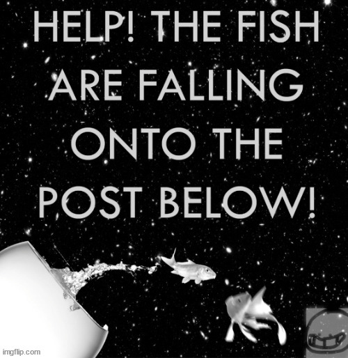 fish | image tagged in fish | made w/ Imgflip meme maker