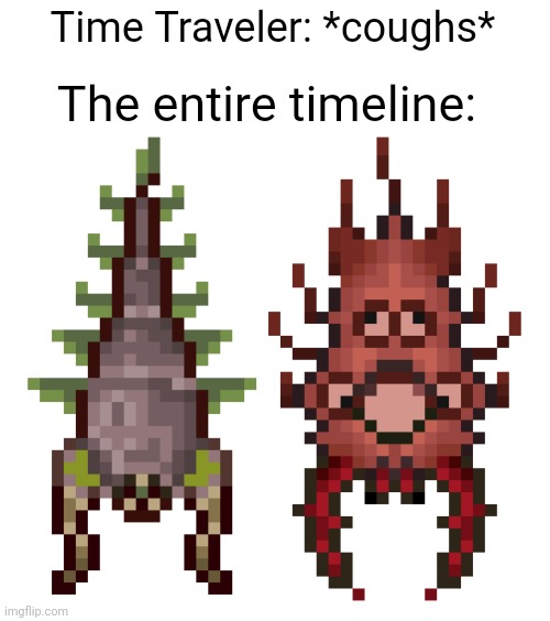 Time Traveler: *coughs*; The entire timeline: | image tagged in funny,memes,terraria,video games,cursed image | made w/ Imgflip meme maker