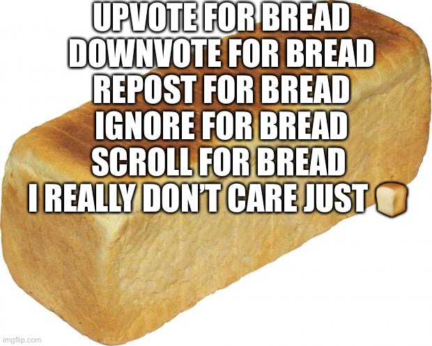 bred | UPVOTE FOR BREAD

DOWNVOTE FOR BREAD

REPOST FOR BREAD

IGNORE FOR BREAD

SCROLL FOR BREAD 

I REALLY DON’T CARE JUST 🍞 | image tagged in breadddd | made w/ Imgflip meme maker
