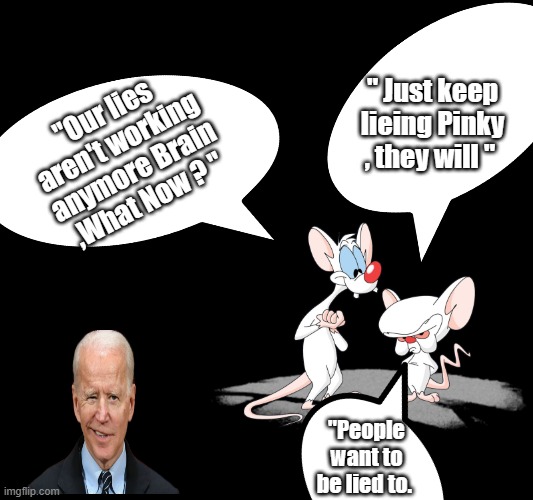 Ask Joe ,he knows. | " Just keep lieing Pinky , they will "; "Our lies aren't working anymore Brain ,What Now ? "; "People want to be lied to. | image tagged in pinky and the brain | made w/ Imgflip meme maker