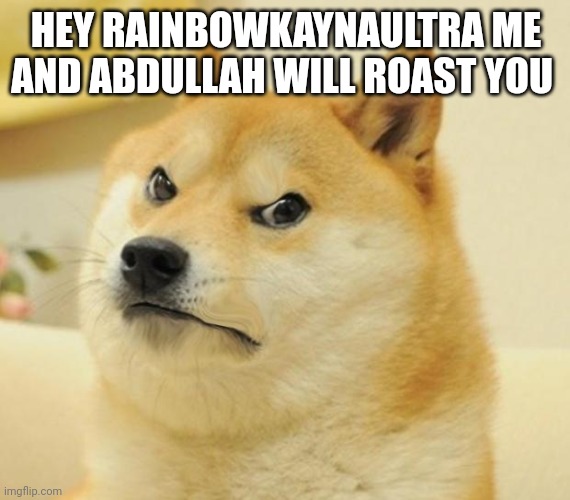 We're going to roast RainbowKaynaULTRA | HEY RAINBOWKAYNAULTRA ME AND ABDULLAH WILL ROAST YOU | image tagged in angry cheems | made w/ Imgflip meme maker