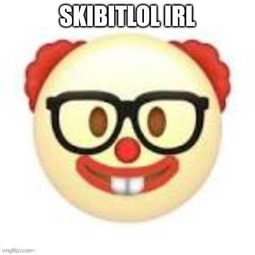 Clownerd | SKIBITLOL IRL | image tagged in clownerd | made w/ Imgflip meme maker