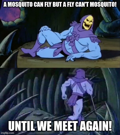 hmm | A MOSQUITO CAN FLY BUT A FLY CAN'T MOSQUITO! UNTIL WE MEET AGAIN! | image tagged in skeletor disturbing facts | made w/ Imgflip meme maker