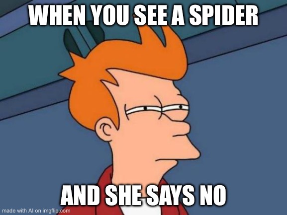 Futurama Fry Meme | WHEN YOU SEE A SPIDER; AND SHE SAYS NO | image tagged in memes,futurama fry | made w/ Imgflip meme maker