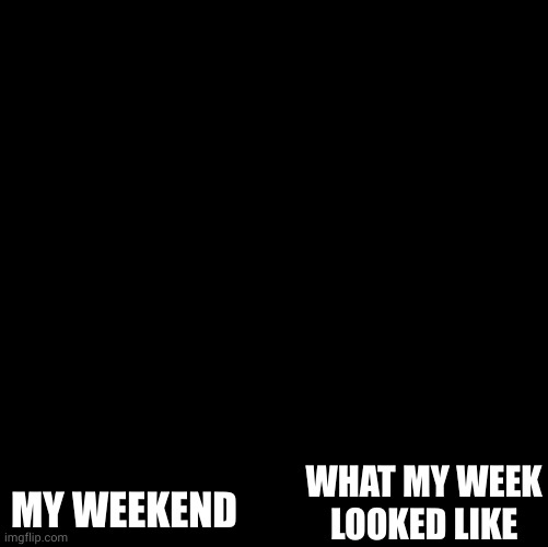 A worm looking forward to the weekend | MY WEEKEND; WHAT MY WEEK LOOKED LIKE | image tagged in hello darkness my old friend,worms,weekend,work week,memes,worm life | made w/ Imgflip meme maker