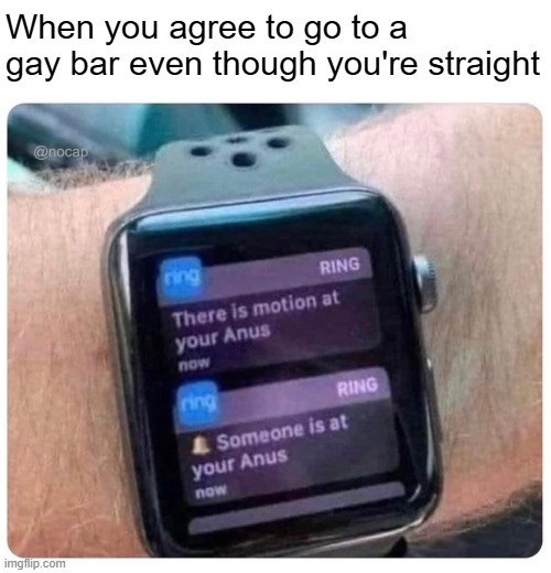 When you agree to go to a gay bar even though you're straight | image tagged in gay,funny | made w/ Imgflip meme maker