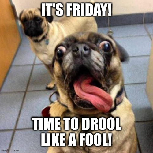 Friday is drooling time! | IT'S FRIDAY! TIME TO DROOL LIKE A FOOL! | image tagged in crazy dog,drooling,memes,tgif,friday night funkin,let loose | made w/ Imgflip meme maker