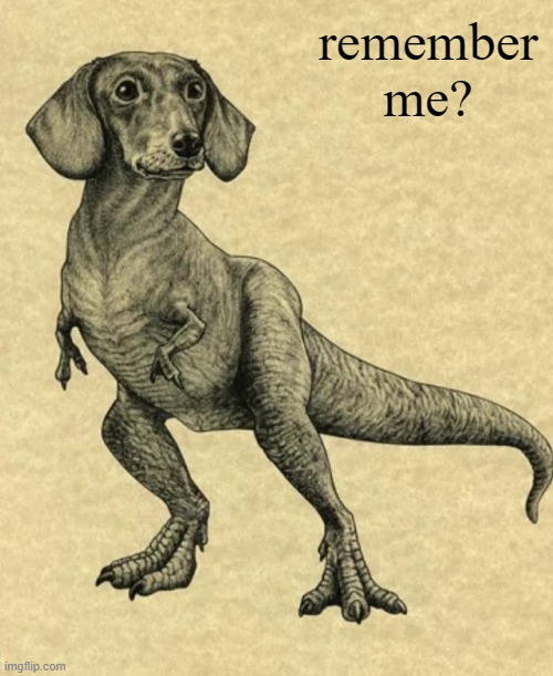 How my Dachshund sees herself | remember me? | image tagged in how my dachshund sees herself | made w/ Imgflip meme maker