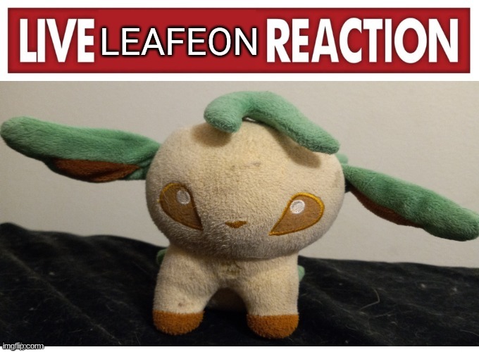 live leafeon reaction | image tagged in live leafeon reaction | made w/ Imgflip meme maker