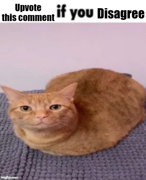 repost if you agree | Upvote this comment Disagree | image tagged in repost if you agree | made w/ Imgflip meme maker