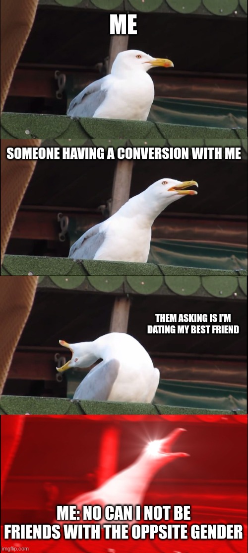 why!!!!!!!!! | ME; SOMEONE HAVING A CONVERSION WITH ME; THEM ASKING IS I'M DATING MY BEST FRIEND; ME: NO CAN I NOT BE FRIENDS WITH THE OPPSITE GENDER | image tagged in memes,inhaling seagull | made w/ Imgflip meme maker