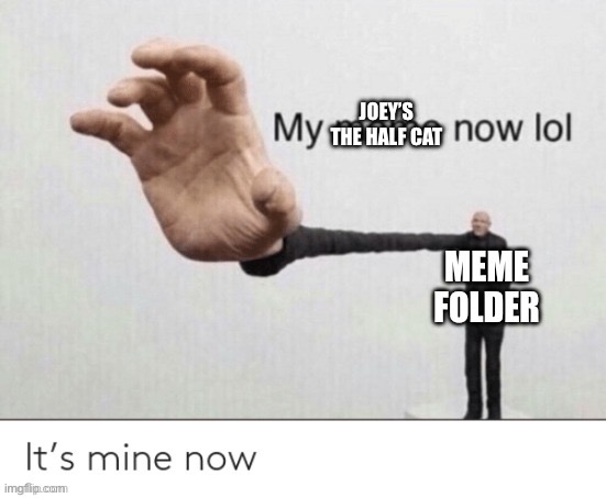 This is going in my meme folder now | JOEY’S THE HALF CAT | image tagged in this is going in my meme folder now | made w/ Imgflip meme maker