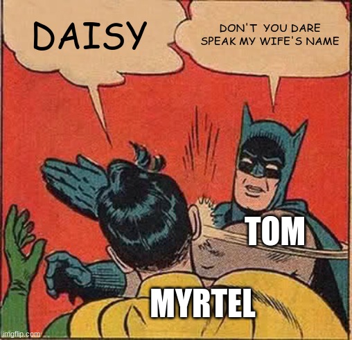 Batman Slapping Robin | DAISY; DON'T  YOU DARE SPEAK MY WIFE'S NAME; TOM; MYRTEL | image tagged in memes,batman slapping robin | made w/ Imgflip meme maker