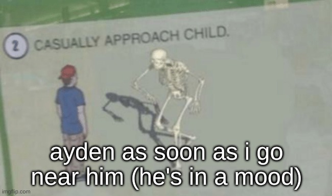 Casually Approach Child | ayden as soon as i go near him (he's in a mood) | image tagged in casually approach child | made w/ Imgflip meme maker