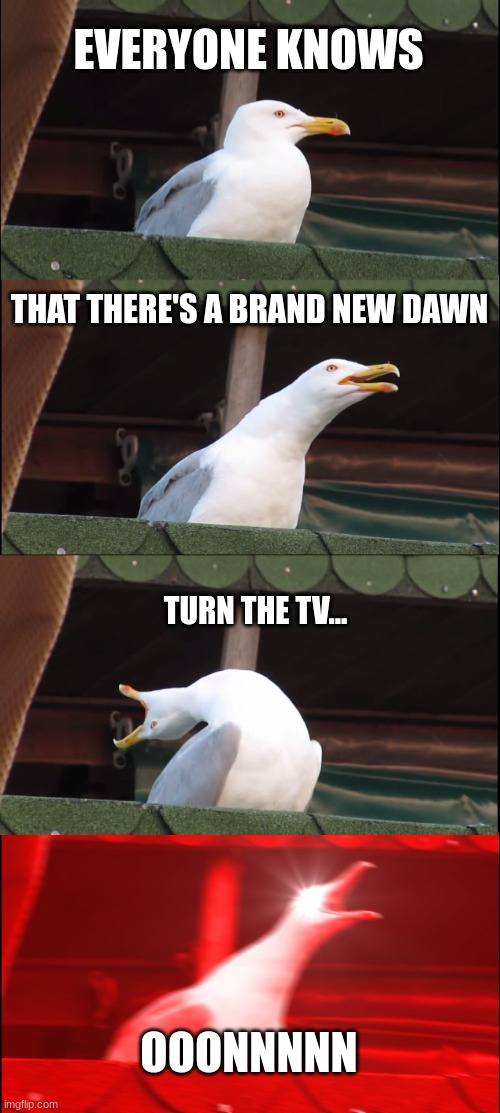 Inhaling Seagull | EVERYONE KNOWS; THAT THERE'S A BRAND NEW DAWN; TURN THE TV... OOONNNNN | image tagged in memes,inhaling seagull | made w/ Imgflip meme maker