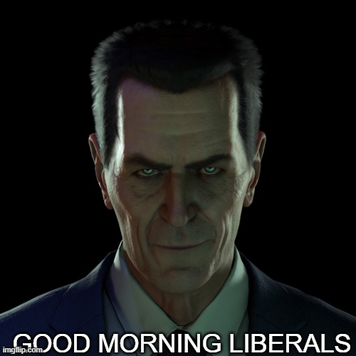 GMAN | GOOD MORNING LIBERALS | image tagged in gman | made w/ Imgflip meme maker