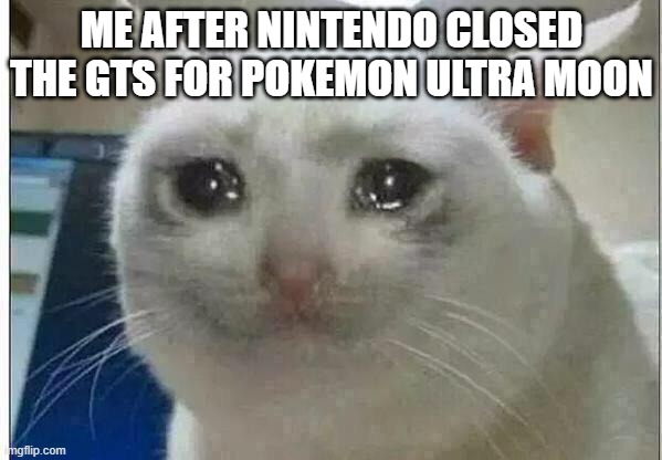 crying cat | ME AFTER NINTENDO CLOSED THE GTS FOR POKEMON ULTRA MOON | image tagged in crying cat | made w/ Imgflip meme maker
