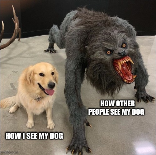 nah he dont bite | HOW OTHER PEOPLE SEE MY DOG; HOW I SEE MY DOG | image tagged in dog vs werewolf,funny | made w/ Imgflip meme maker