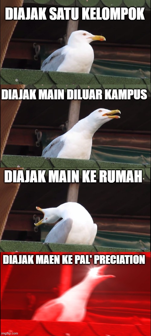 idk | DIAJAK SATU KELOMPOK; DIAJAK MAIN DILUAR KAMPUS; DIAJAK MAIN KE RUMAH; DIAJAK MAEN KE PAL' PRECIATION | image tagged in memes,inhaling seagull | made w/ Imgflip meme maker