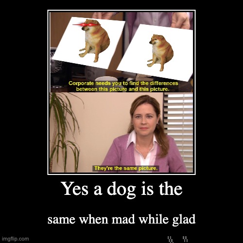 HAHAHAHAHHA | Yes a dog is the | same when mad while glad | image tagged in funny,demotivationals | made w/ Imgflip demotivational maker