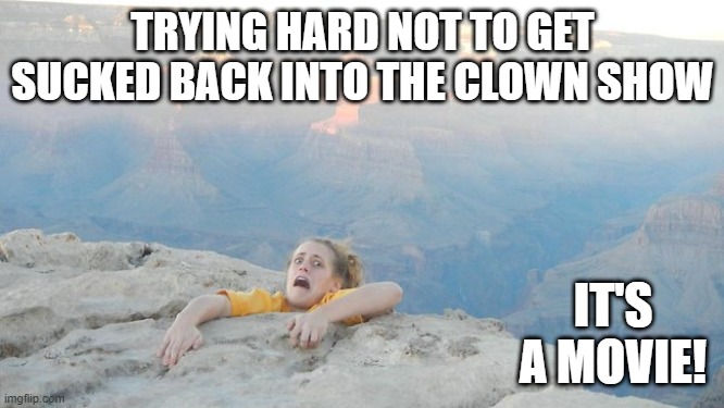 Hanging on! | TRYING HARD NOT TO GET SUCKED BACK INTO THE CLOWN SHOW; IT'S A MOVIE! | image tagged in hanging on | made w/ Imgflip meme maker