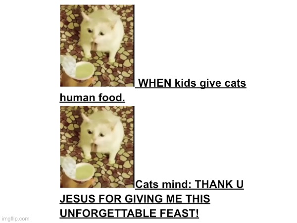 image tagged in cats,religion | made w/ Imgflip meme maker