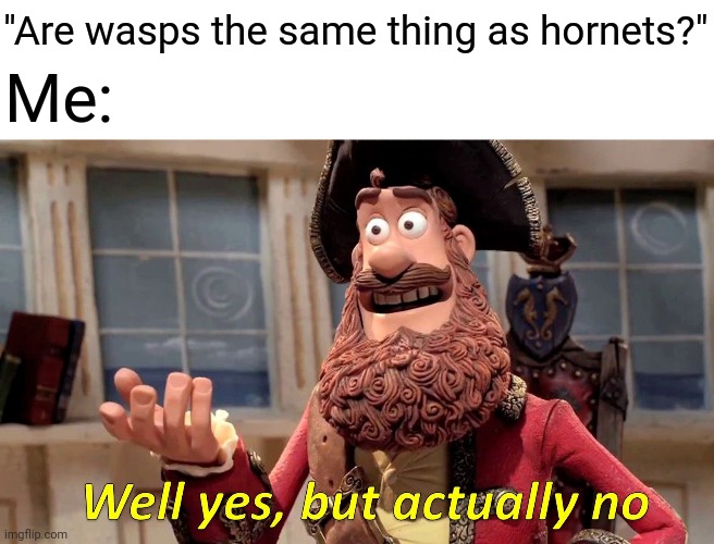 Share some similarities, but still. | "Are wasps the same thing as hornets?"; Me: | image tagged in memes,well yes but actually no,wasp,hornet,murder hornet,funny | made w/ Imgflip meme maker