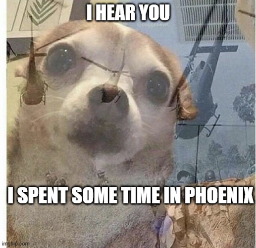 PTSD Chihuahua | I HEAR YOU I SPENT SOME TIME IN PHOENIX | image tagged in ptsd chihuahua | made w/ Imgflip meme maker