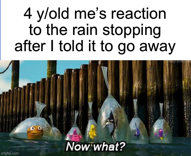 It was just that easy! | 4 y/old me’s reaction to the rain stopping after I told it to go away | image tagged in now what,memes,childhood | made w/ Imgflip meme maker