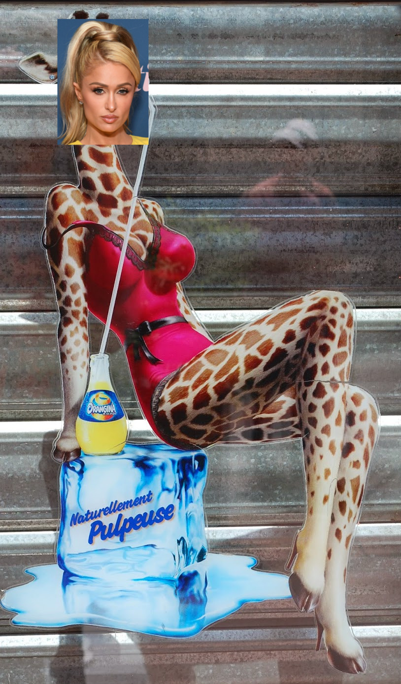 High Quality paris hilton giraffe Blank Meme Template