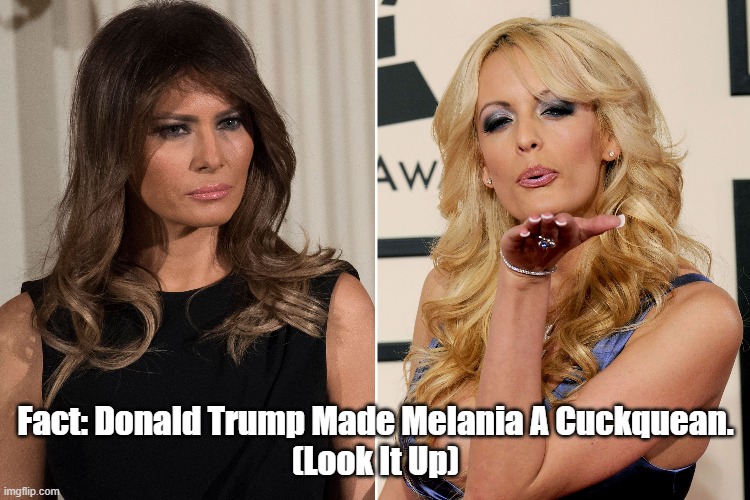 What A Guy! Donald "John" Trump Made Melania A Cuckquean | Fact: Donald Trump Made Melania A Cuckquean.
(Look It Up) | image tagged in melania,trump,stormy daniels,cuckquean | made w/ Imgflip meme maker