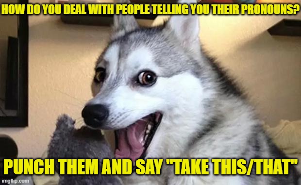 How to deal with pronoun people | HOW DO YOU DEAL WITH PEOPLE TELLING YOU THEIR PRONOUNS? PUNCH THEM AND SAY "TAKE THIS/THAT" | image tagged in smiling dog,pronouns,turds | made w/ Imgflip meme maker