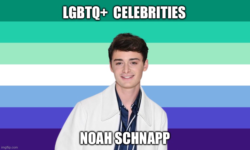 LGBTQ+ Celebrities: Noah Schnapp | LGBTQ+  CELEBRITIES; NOAH SCHNAPP | image tagged in lgbtq,celebrities,gay,noah schnapp,stranger things | made w/ Imgflip meme maker