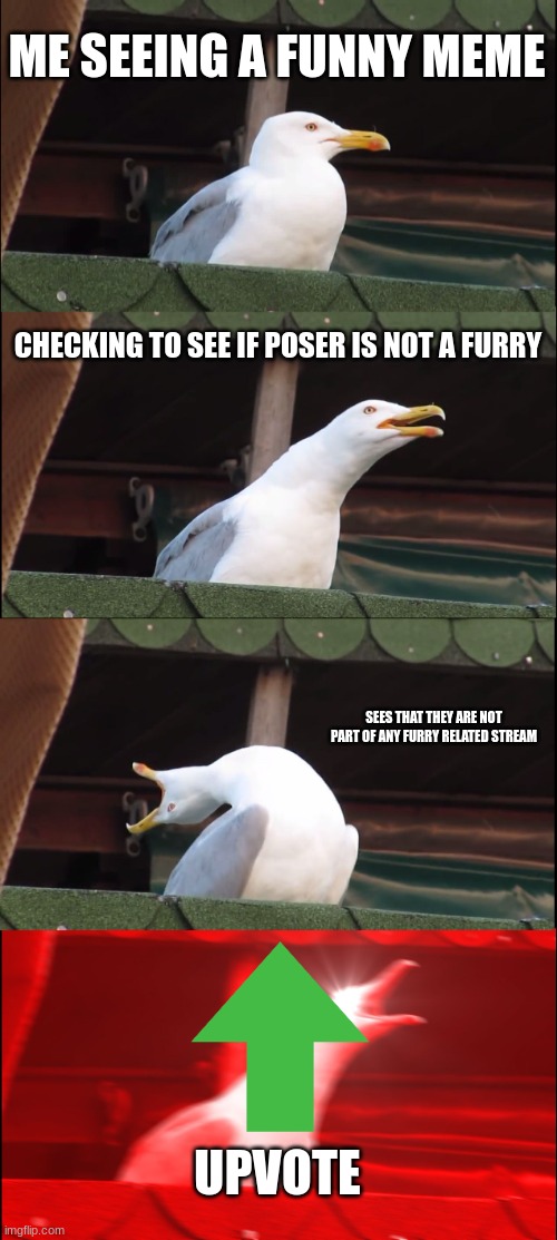 Inhaling Seagull Meme | ME SEEING A FUNNY MEME CHECKING TO SEE IF POSER IS NOT A FURRY SEES THAT THEY ARE NOT PART OF ANY FURRY RELATED STREAM UPVOTE | image tagged in memes,inhaling seagull | made w/ Imgflip meme maker