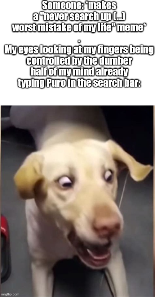 AHH FINGERS STOP IT NOOOOO- | Someone: *makes a "never search up (...) worst mistake of my life" meme*
.
My eyes looking at my fingers being controlled by the dumber half of my mind already typing Puro in the search bar: | made w/ Imgflip meme maker