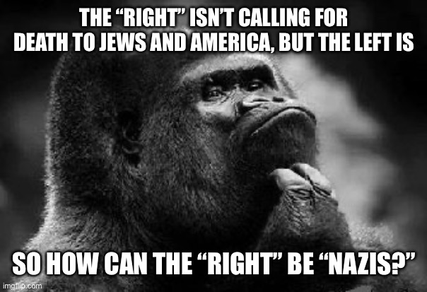 thinking monkey | THE “RIGHT” ISN’T CALLING FOR DEATH TO JEWS AND AMERICA, BUT THE LEFT IS; SO HOW CAN THE “RIGHT” BE “NAZIS?” | image tagged in thinking monkey | made w/ Imgflip meme maker