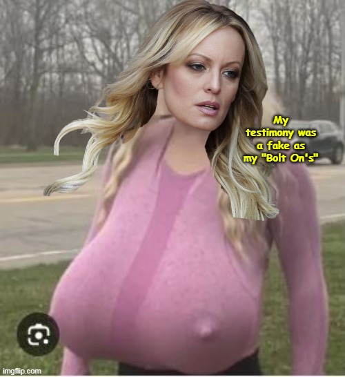 Stormy career change: Leaving to teach Wood shop in Canada | My testimony was a fake as my "Bolt On's" | image tagged in stormy fake testimony bolt on tits meme | made w/ Imgflip meme maker