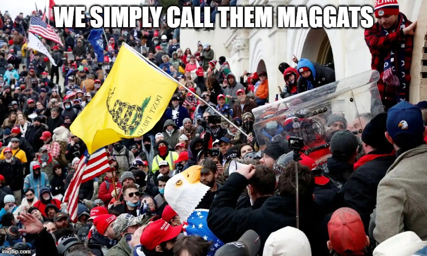 WE SIMPLY CALL THEM MAGGATS | made w/ Imgflip meme maker