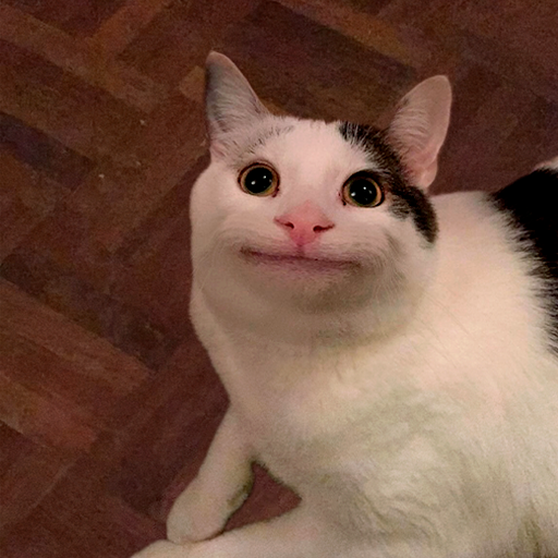 Beluga Cat Blank Meme Template