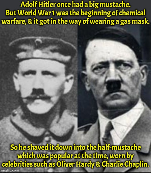 He singlehandedly destroyed this style of grooming. | Adolf Hitler once had a big mustache. But World War 1 was the beginning of chemical warfare, & it got in the way of wearing a gas mask. So he shaved it down into the half-mustache which was popular at the time, worn by celebrities such as Oliver Hardy & Charlie Chaplin. | image tagged in the lowest scum in history,useless fact of the day,unexpected results,facial hair | made w/ Imgflip meme maker
