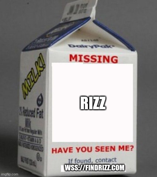 Milk carton | RIZZ; WSS://FINDRIZZ.COM | image tagged in milk carton | made w/ Imgflip meme maker